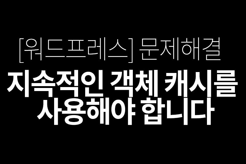 오브젝트 캐시를 사용해야합니다.