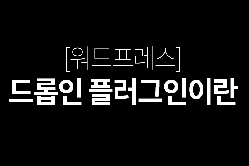 드롭인 플러그인이란?