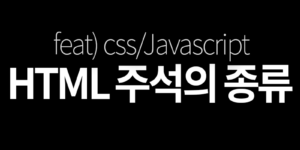 HTML 주석의 종류